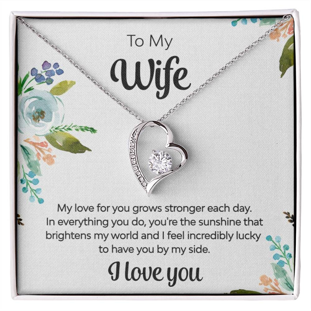 To My Wife - You're the Sunshine Necklace