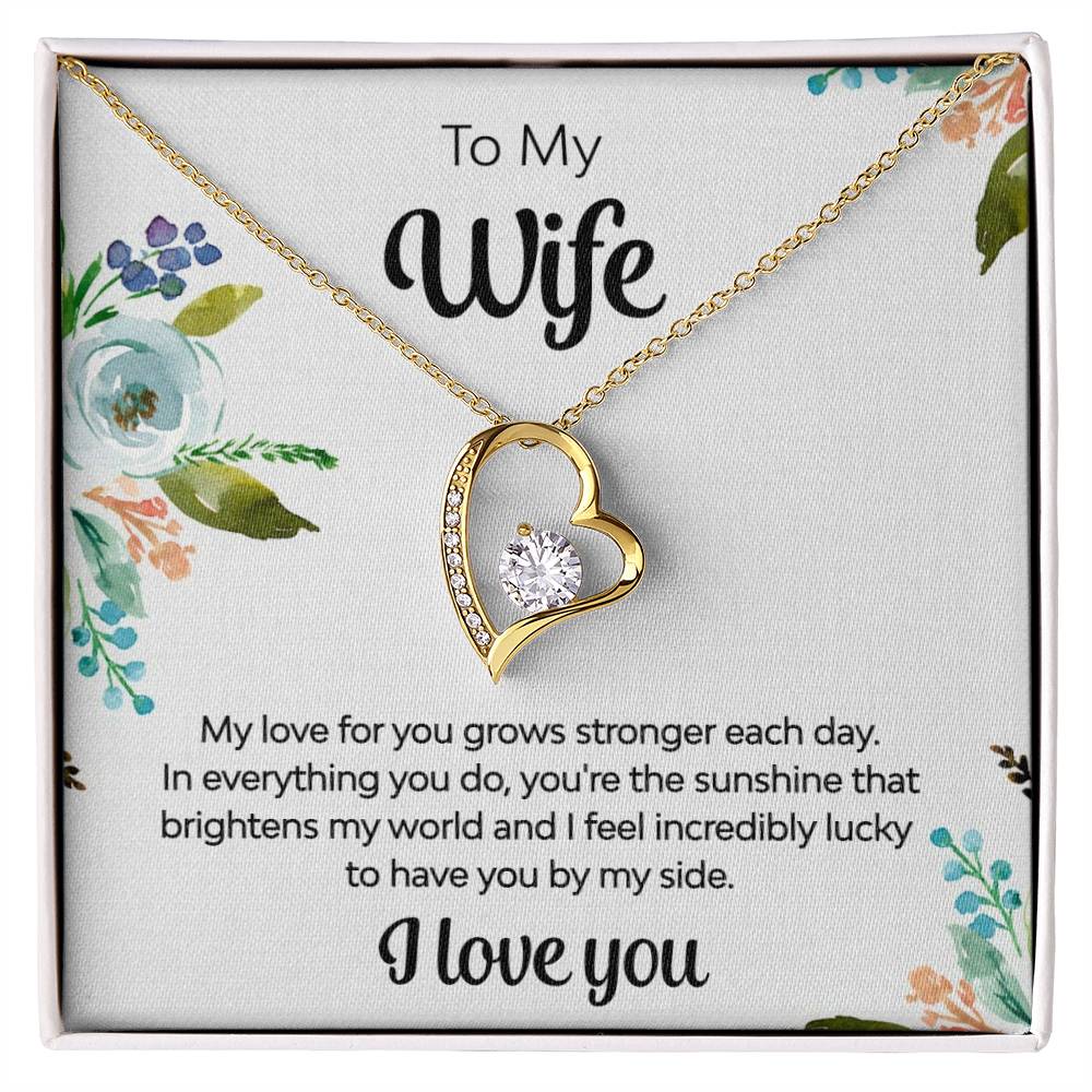 To My Wife - You're the Sunshine Necklace