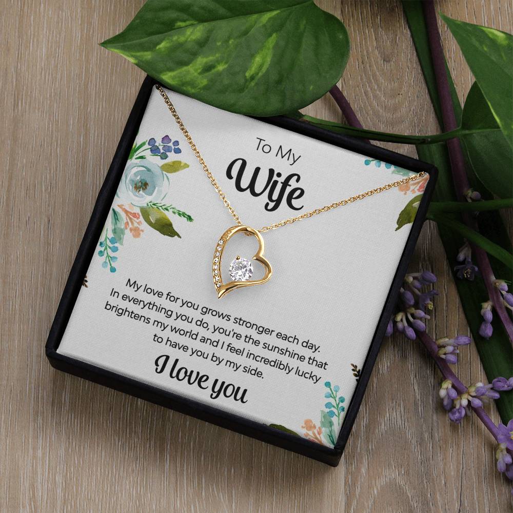 To My Wife - You're the Sunshine Necklace